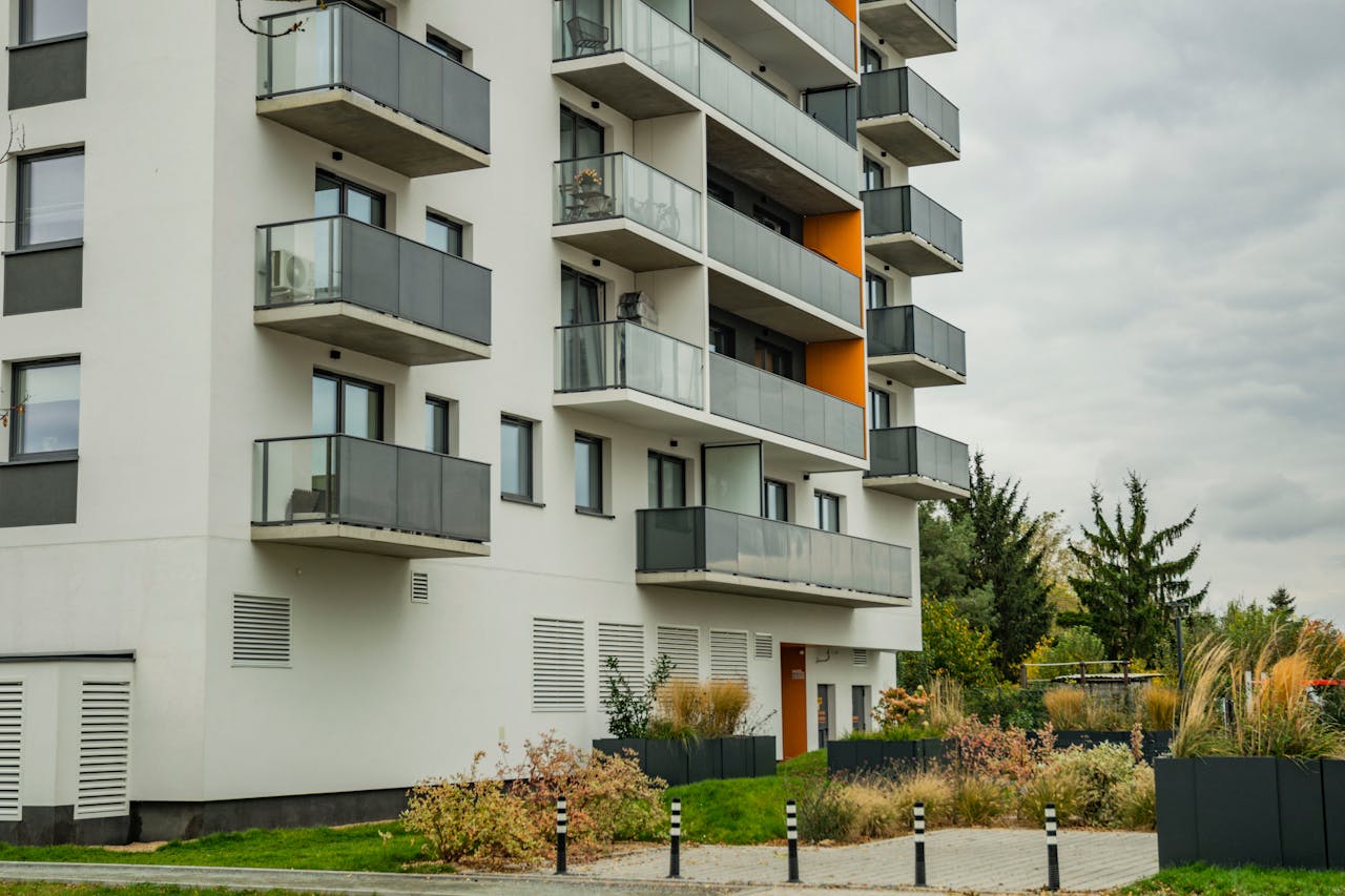 pexels photo 29174529.jpeg